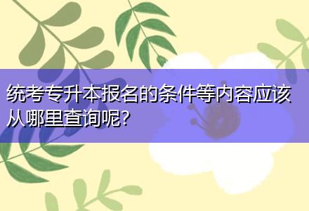 統(tǒng)考專升本報(bào)名的條件等內(nèi)容應(yīng)該從哪里查詢呢？