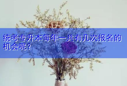 統(tǒng)考專升本每年一共有幾次報(bào)名的機(jī)會(huì)呢？
