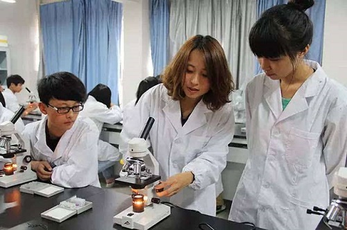 成都中專衛(wèi)生學校招生要求有哪些