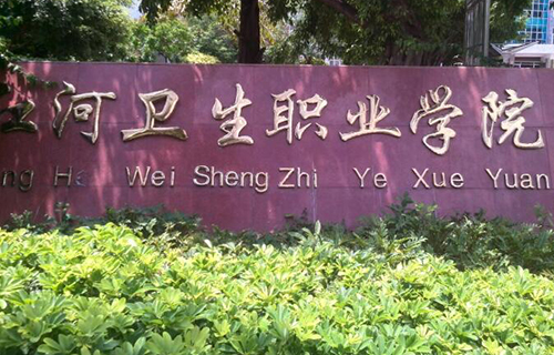 紅河衛(wèi)生職業(yè)學院五年制大專網站網址