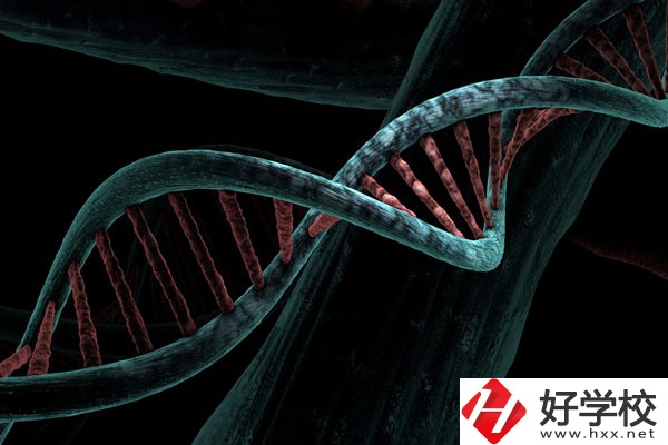 溆浦縣職業(yè)中等專業(yè)學校宿舍怎么樣？