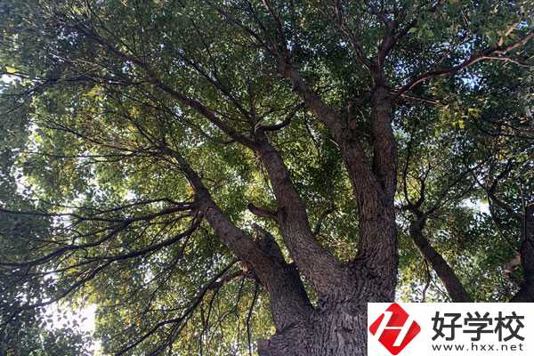 湖南省商業(yè)職業(yè)中專學校在哪里？升學就業(yè)怎么樣？