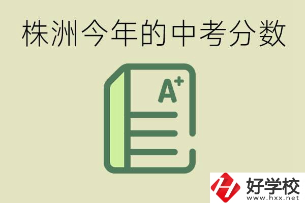 株洲今年中考多少分能上高中？沒考上有什么選擇？