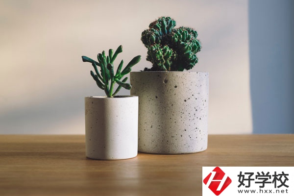 芷江民族職業(yè)中專招生專業(yè)有哪些？收費標(biāo)準(zhǔn)如何？