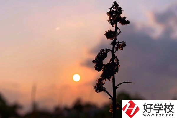 邵陽(yáng)哈博職業(yè)中專學(xué)校好不好？有什么辦學(xué)特色？