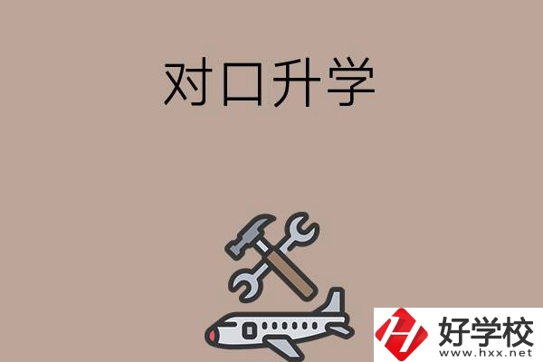 職高學(xué)生參加湖南省對口升學(xué)，有什么本科可以報(bào)考？
