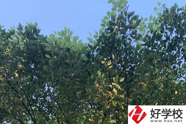 邵陽職業(yè)技術(shù)學(xué)校就業(yè)好不好？值得報(bào)考嗎？