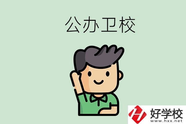 湖南的公辦衛(wèi)校有哪些？這兩所學(xué)校值得推薦！