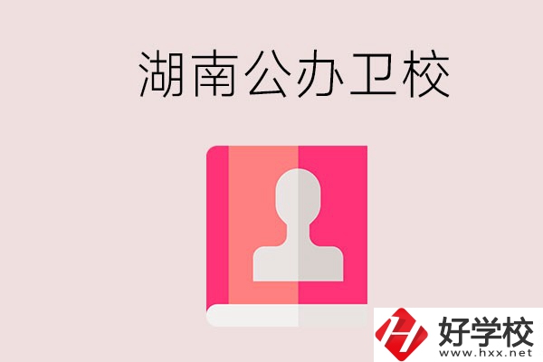 想在湖南上公辦衛(wèi)?？梢赃x擇哪些學(xué)校？