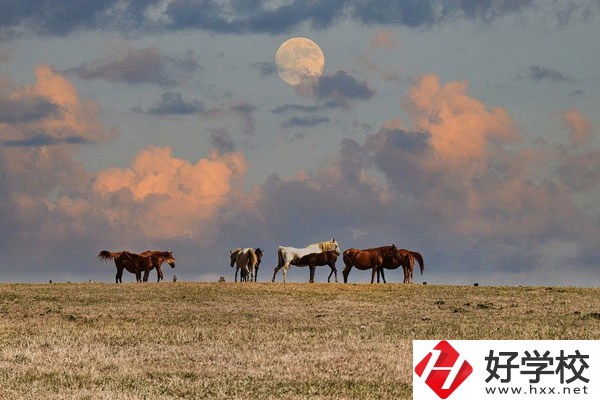 邵陽工業(yè)學(xué)校是公辦還是民辦？有什么優(yōu)勢？
