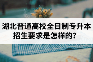 湖北普通高校全日制專升本招生要求是怎樣的？