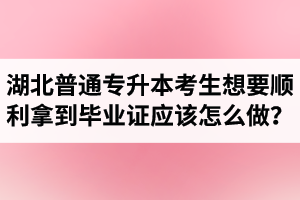 湖北普通專升本考生想要順利拿到畢業(yè)證應(yīng)該怎么做？