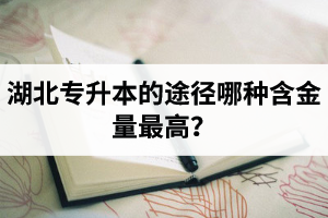 湖北普通專升本英譯漢段落翻譯分析應(yīng)該怎么做？