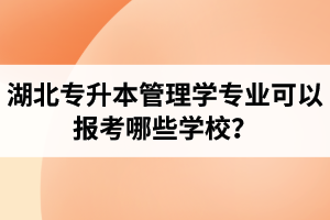湖北專升本管理學(xué)專業(yè)可以報(bào)考哪些學(xué)校？屬于管理學(xué)的專業(yè)有哪些？