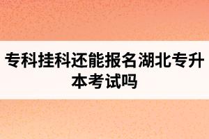 ?？茠炜七€能報名湖北專升本考試嗎？在哪里能獲取最新的專升本資訊？