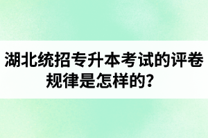 湖北統(tǒng)招專升本考試的評卷規(guī)律是怎樣的？怎么避免丟失細(xì)節(jié)分？