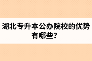 湖北專升本公辦院校的優(yōu)勢有哪些？為什么大家都想報公辦學(xué)校？
