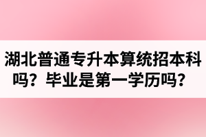 湖北普通專升本算統(tǒng)招本科嗎？專升本學(xué)歷是第一學(xué)歷嗎？
