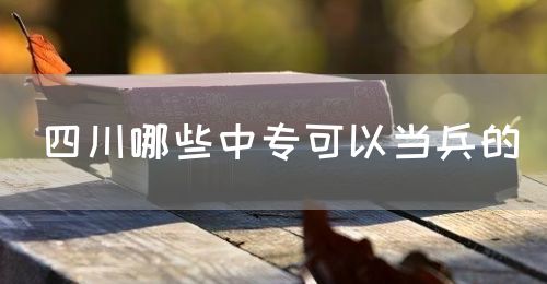 四川哪些中?？梢援?dāng)兵的(圖1)