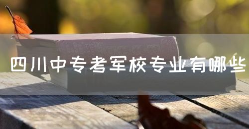 四川中?？架娦I(yè)有哪些？(圖1)