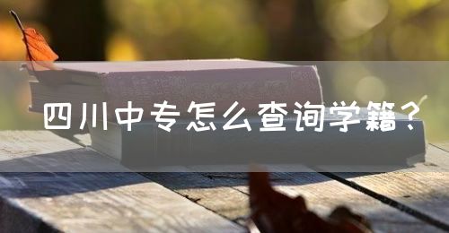 四川中專怎么查詢學籍？(圖1)