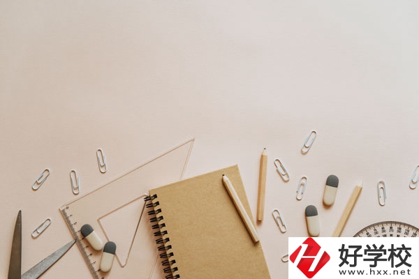 衡陽計(jì)算機(jī)學(xué)校計(jì)算機(jī)專業(yè)好不好？