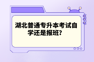 湖北普通專升本考試自學(xué)還是報班？