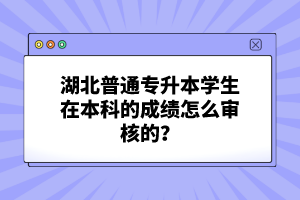 湖北普通專升本學(xué)生在本科的成績怎么審核的？