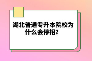 湖北普通專升本院校為什么會停招？