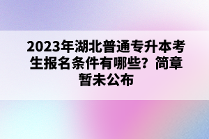 2023年湖北普通專升本考生報(bào)名條件有哪些？簡(jiǎn)章暫未公布