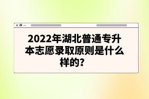 2022年湖北普通專升本志愿錄取原則是什么樣的？