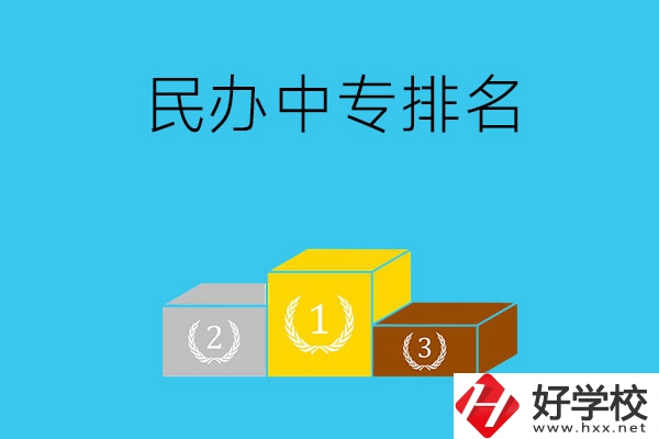 郴州排名前五的民辦中專是哪些？