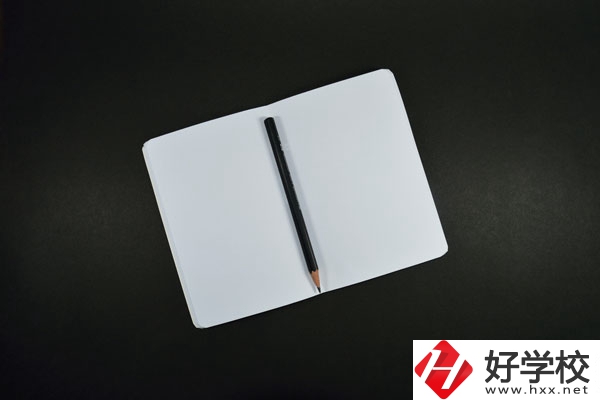 衡陽計(jì)算機(jī)學(xué)校計(jì)算機(jī)專業(yè)好不好？