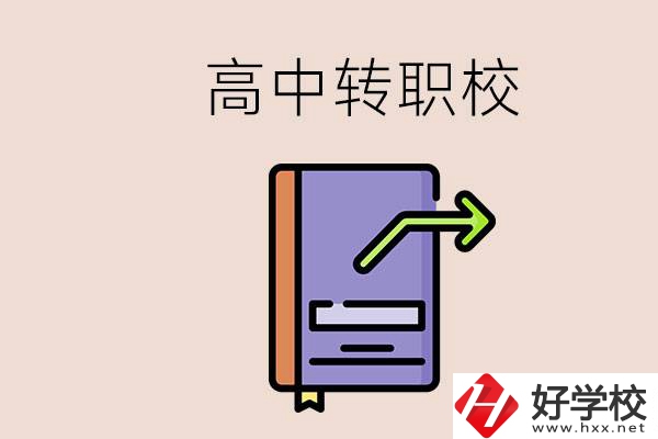 有在讀高中不想讀轉(zhuǎn)職校的例子嗎？能轉(zhuǎn)到湖南職校嗎？