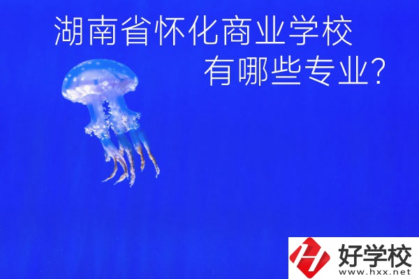 湖南省懷化商業(yè)學(xué)校好不好？有哪些專業(yè)？