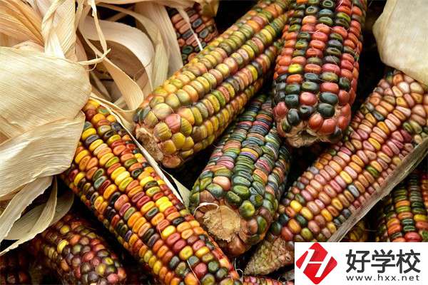 岳陽中職學(xué)校哪些專業(yè)好？有什么學(xué)校推薦？