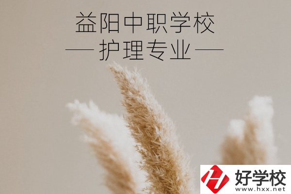 益陽護(hù)理專業(yè)的中職學(xué)校有哪些？需要哪些要求？