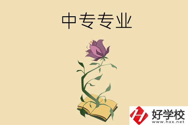 在張家界讀中專，學什么專業(yè)比較好？
