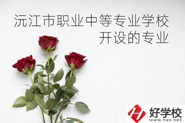 沅江市職業(yè)中等專(zhuān)業(yè)學(xué)校怎么樣？開(kāi)設(shè)哪些專(zhuān)業(yè)？