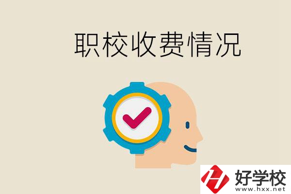 湖南的職校是怎么收費(fèi)的？民辦學(xué)校一年學(xué)費(fèi)要多少？