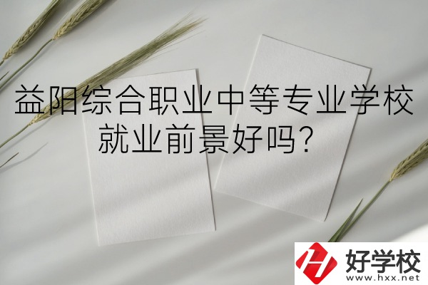 益陽綜合職業(yè)中等專業(yè)學(xué)校如何？就業(yè)前景好嗎？