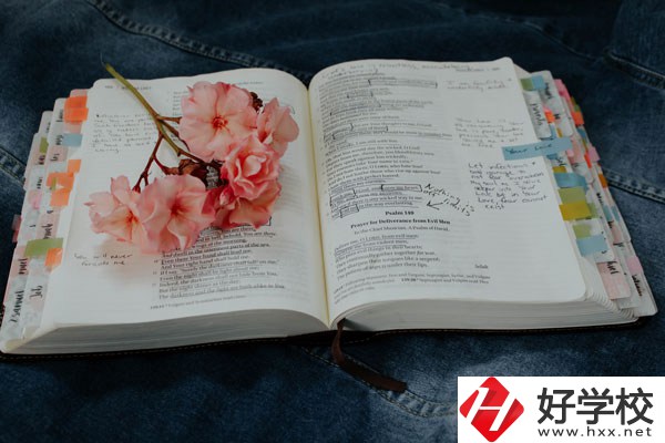細數(shù)懷化三大職校，這三所學校女生最多！