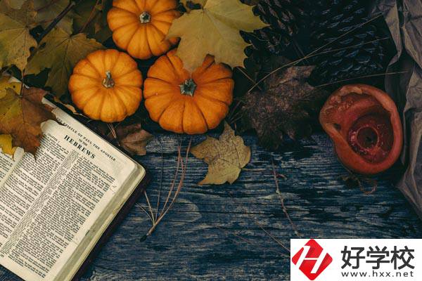臨湘市職業(yè)中專開設哪些熱門專業(yè)、就業(yè)方向