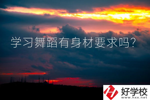 懷化有可以學(xué)習(xí)舞蹈的中專(zhuān)學(xué)校嗎？有身材要求嗎？