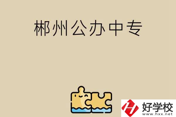郴州公辦中專有哪些開設了電子商務專業(yè)？