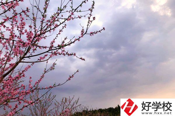 邵陽市瀟湘中等職業(yè)技術(shù)學(xué)校怎么樣？收費標(biāo)準(zhǔn)如何？