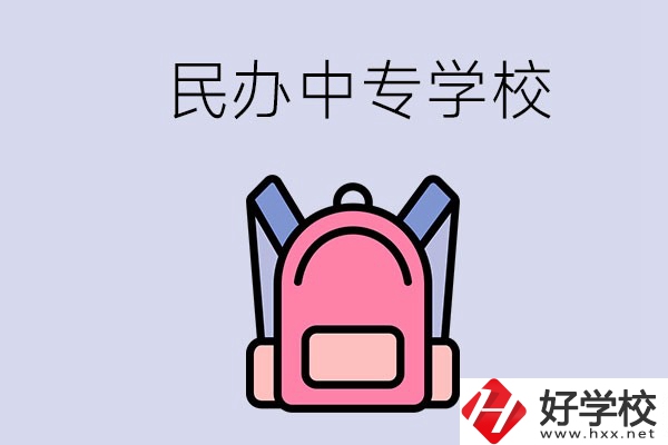 益陽的民辦中專學(xué)校有多少所？辦學(xué)怎么樣？
