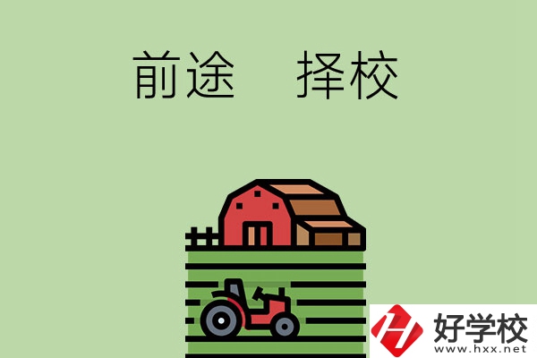 在長(zhǎng)沙讀中職學(xué)校有前途嗎，如何擇校？