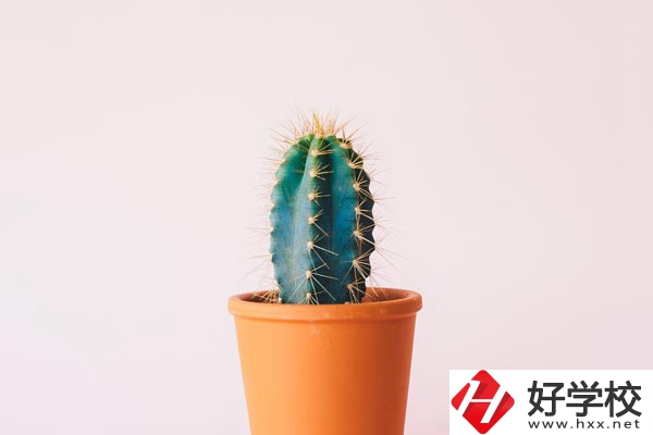 長(zhǎng)沙有哪些中職學(xué)校可以學(xué)習(xí)幼師專業(yè)？
