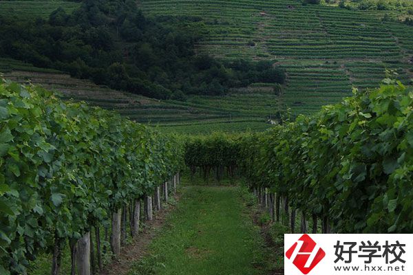 中鋼集團(tuán)衡陽重機(jī)技工學(xué)校好不好？值得讀嗎？